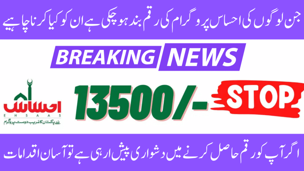 Ehsaas Payment Issue Solution 2025