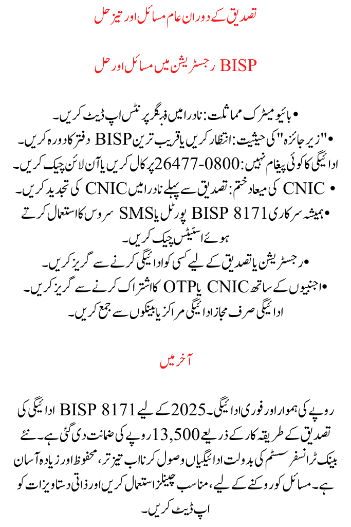 BISP 8171 Payment Verification Process